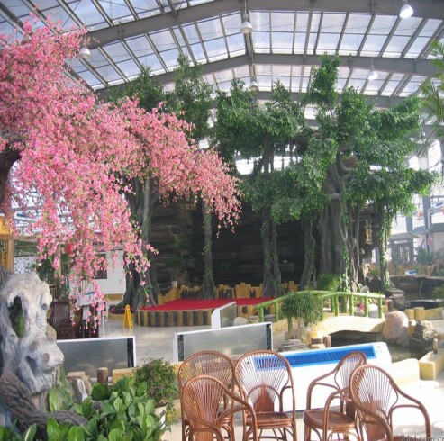 ���һ�������